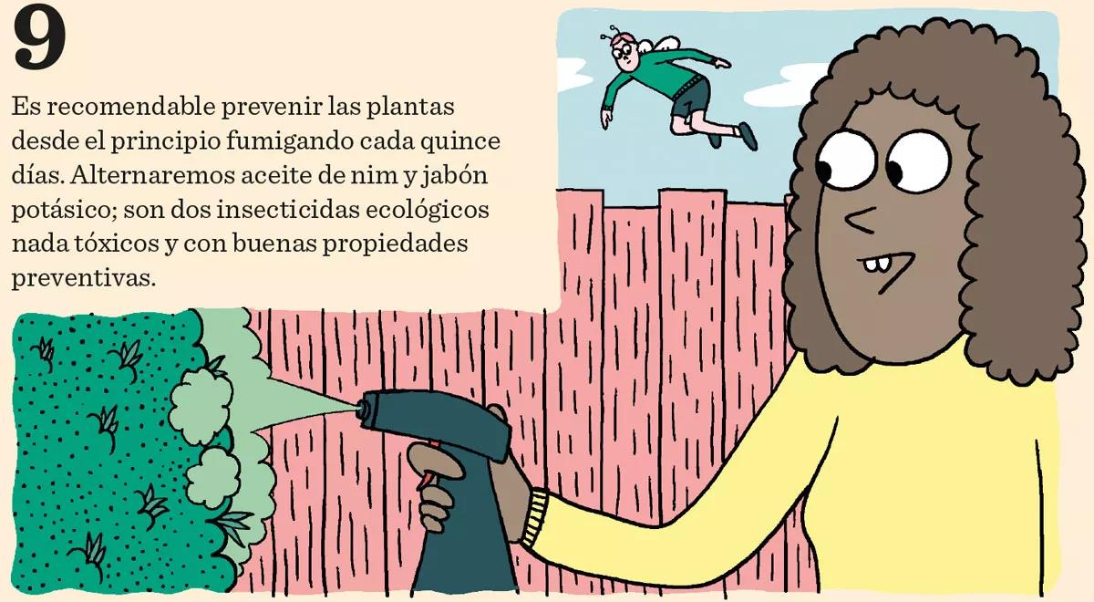 Los diez pasos básicos para la primera cosecha