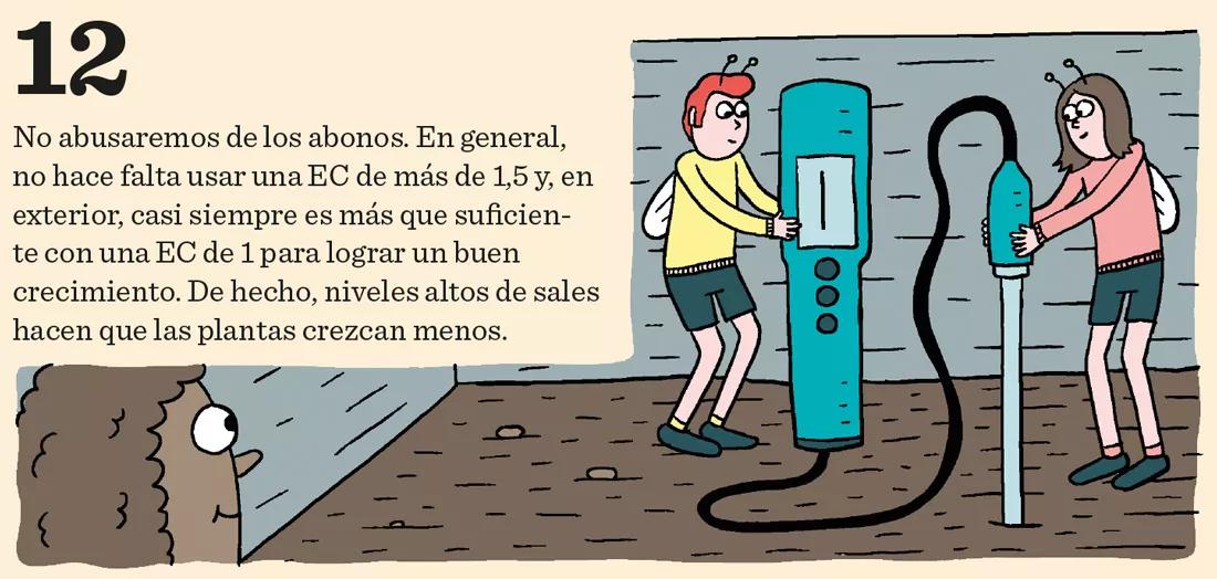 El cannabis come por los pies: doce pasos para mantener sanas las raíces