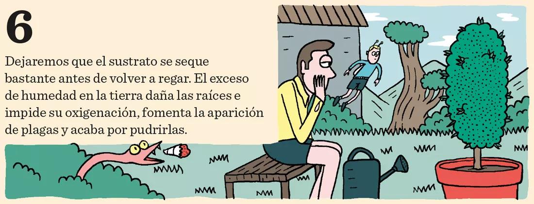 El cannabis come por los pies: doce pasos para mantener sanas las raíces