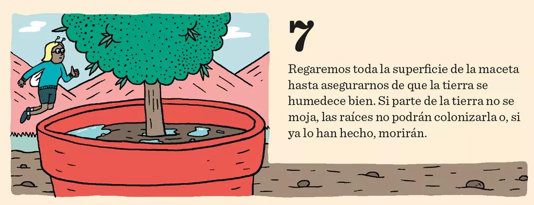 El cannabis come por los pies: doce pasos para mantener sanas las raíces