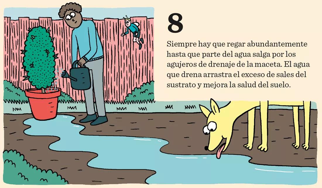 El cannabis come por los pies: doce pasos para mantener sanas las raíces