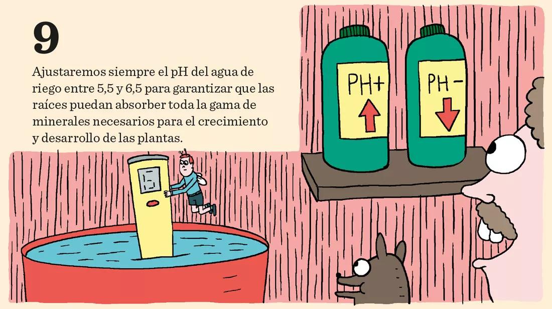 El cannabis come por los pies: doce pasos para mantener sanas las raíces