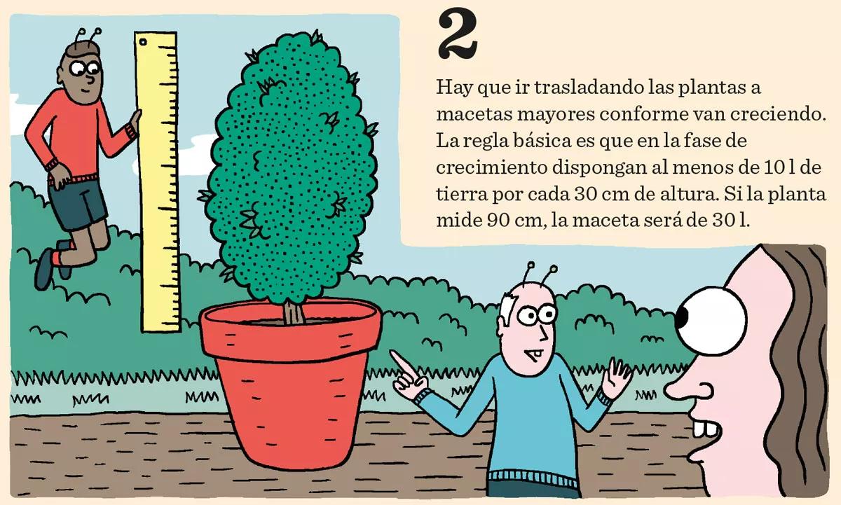 Fase vegetativa del cannabis: diez claves esenciales para el crecimiento