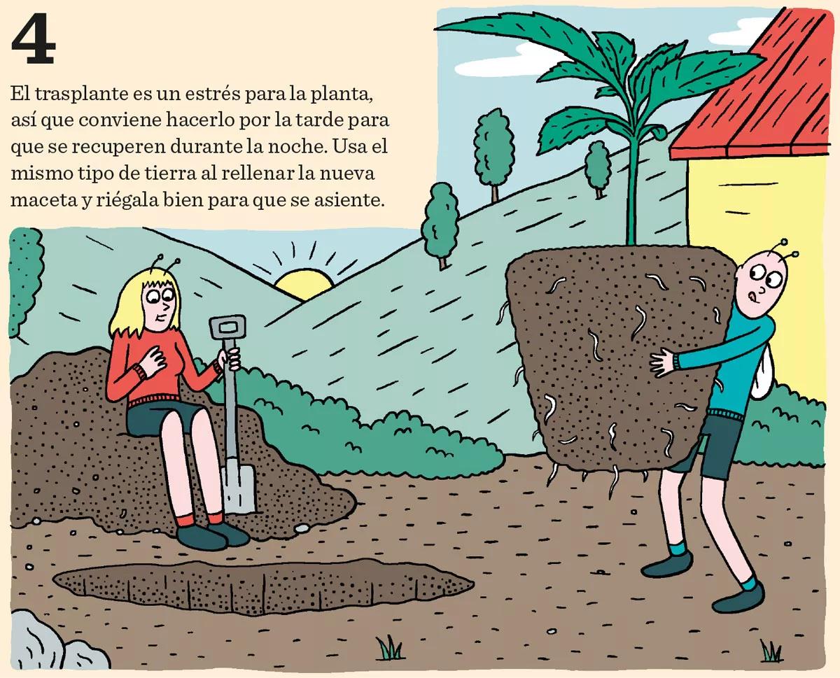 Fase vegetativa del cannabis: diez claves esenciales para el crecimiento