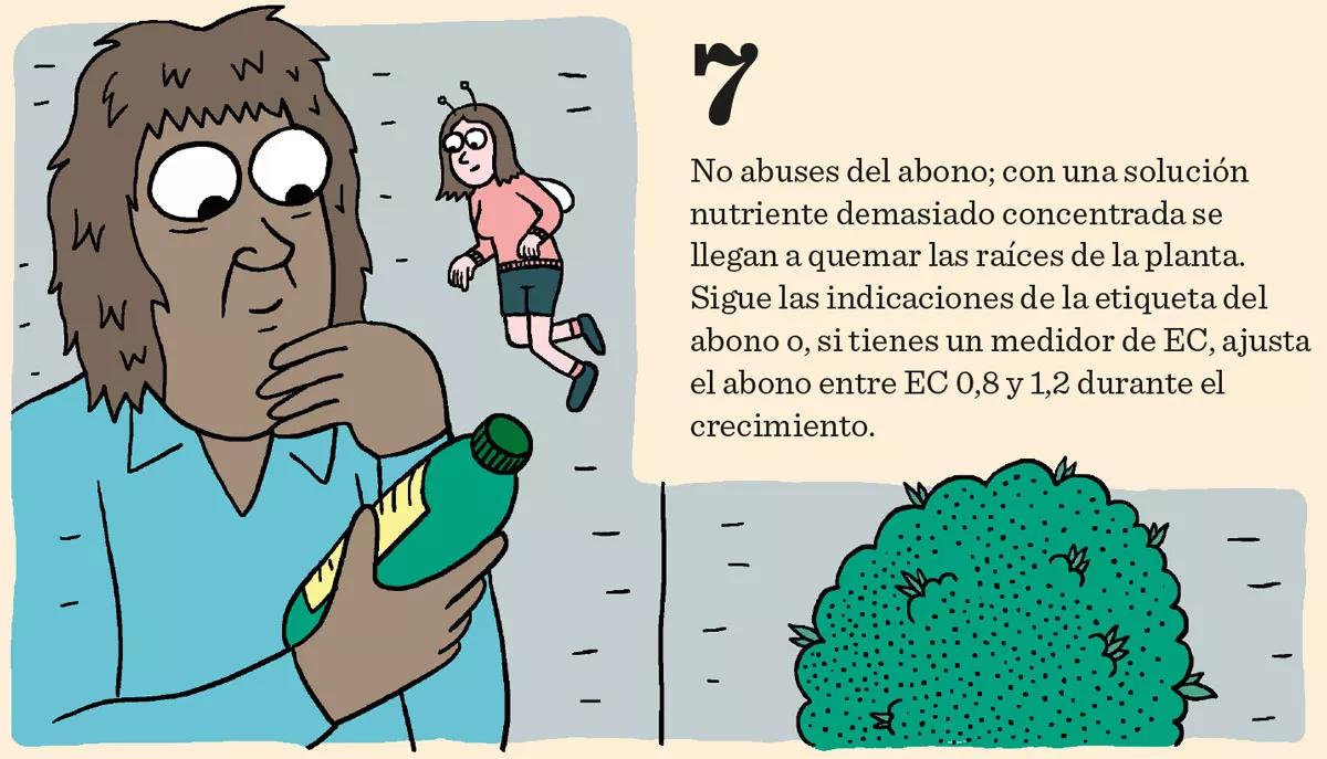 Fase vegetativa del cannabis: diez claves esenciales para el crecimiento
