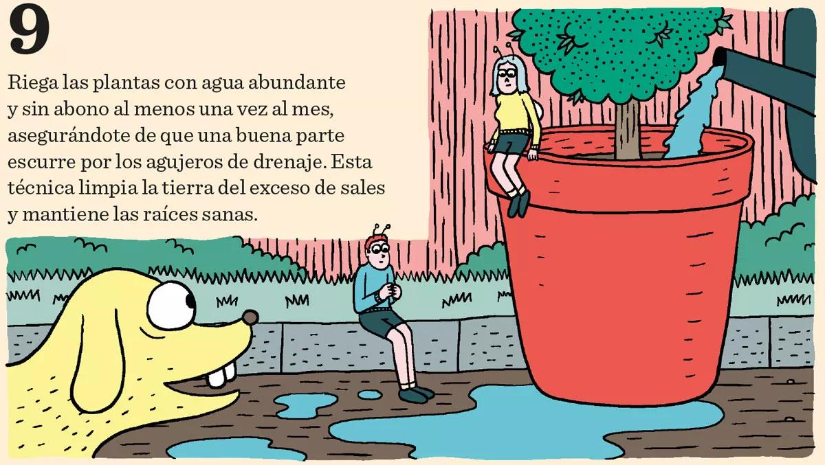 Fase vegetativa del cannabis: diez claves esenciales para el crecimiento