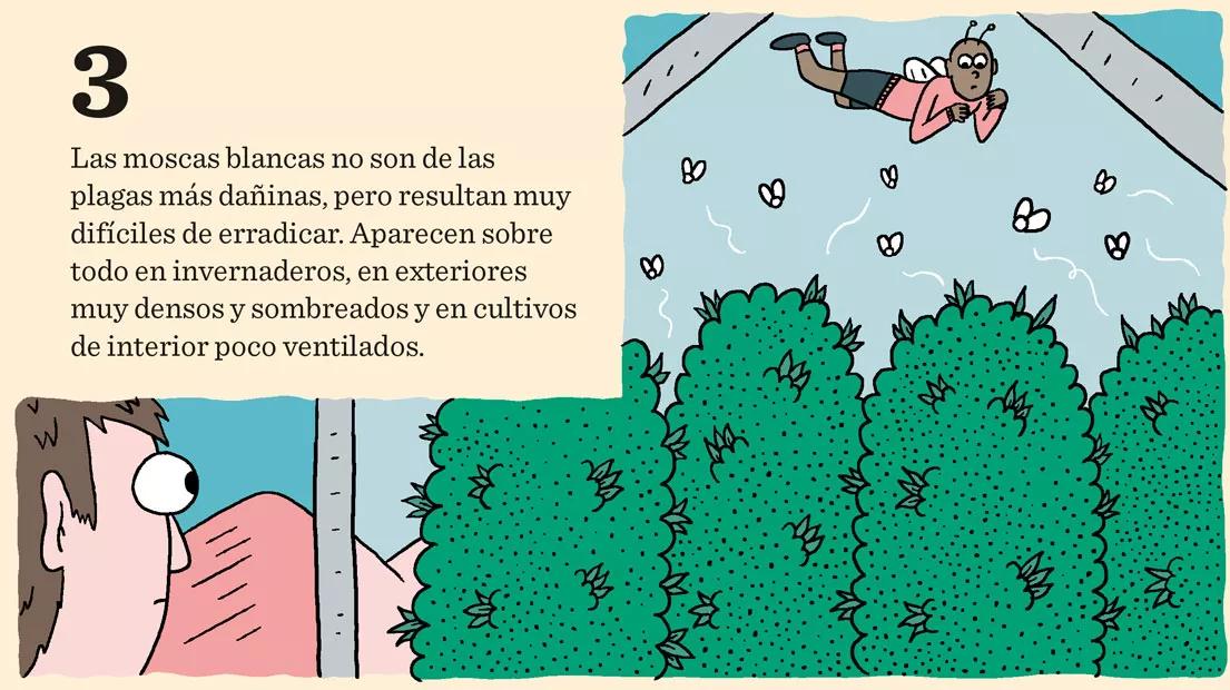 Las nueve peores plagas del cultivo y cómo combatirlas