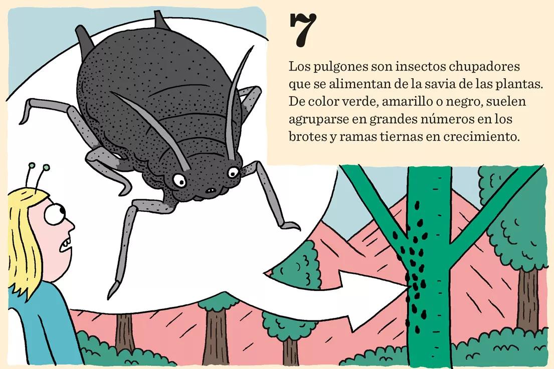 Las nueve peores plagas del cultivo y cómo combatirlas