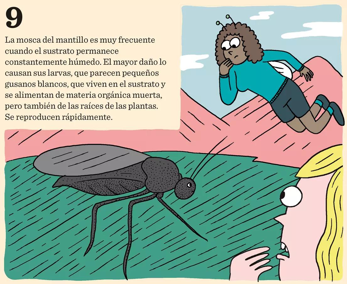 Las nueve peores plagas del cultivo y cómo combatirlas