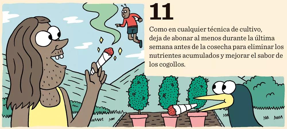 Cómo cosechar dentro de sesenta días o menos: doce pasos para controlar la floración
