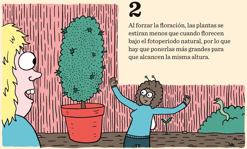 Cómo cosechar dentro de sesenta días o menos: doce pasos para controlar la floración