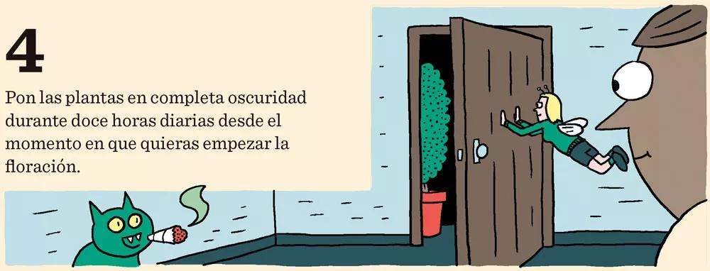 Cómo cosechar dentro de sesenta días o menos: doce pasos para controlar la floración
