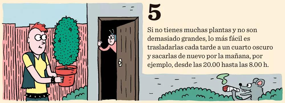 Cómo cosechar dentro de sesenta días o menos: doce pasos para controlar la floración
