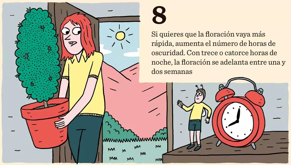 Cómo cosechar dentro de sesenta días o menos: doce pasos para controlar la floración
