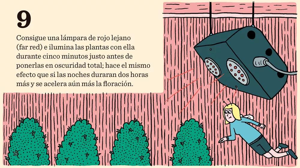 Cómo cosechar dentro de sesenta días o menos: doce pasos para controlar la floración