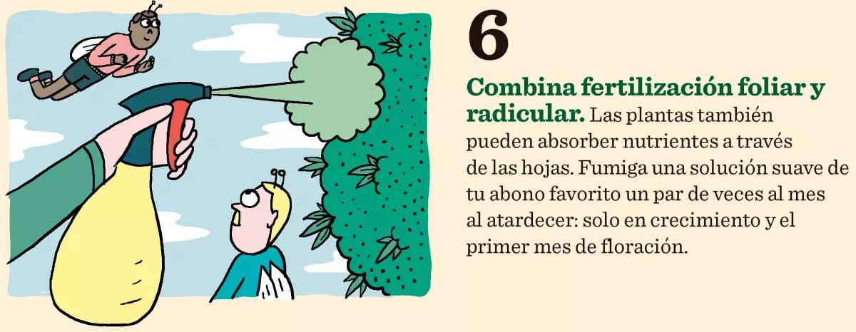 El verdadero secreto de la fertilidad de la tierra son los microorganismos que viven en ella