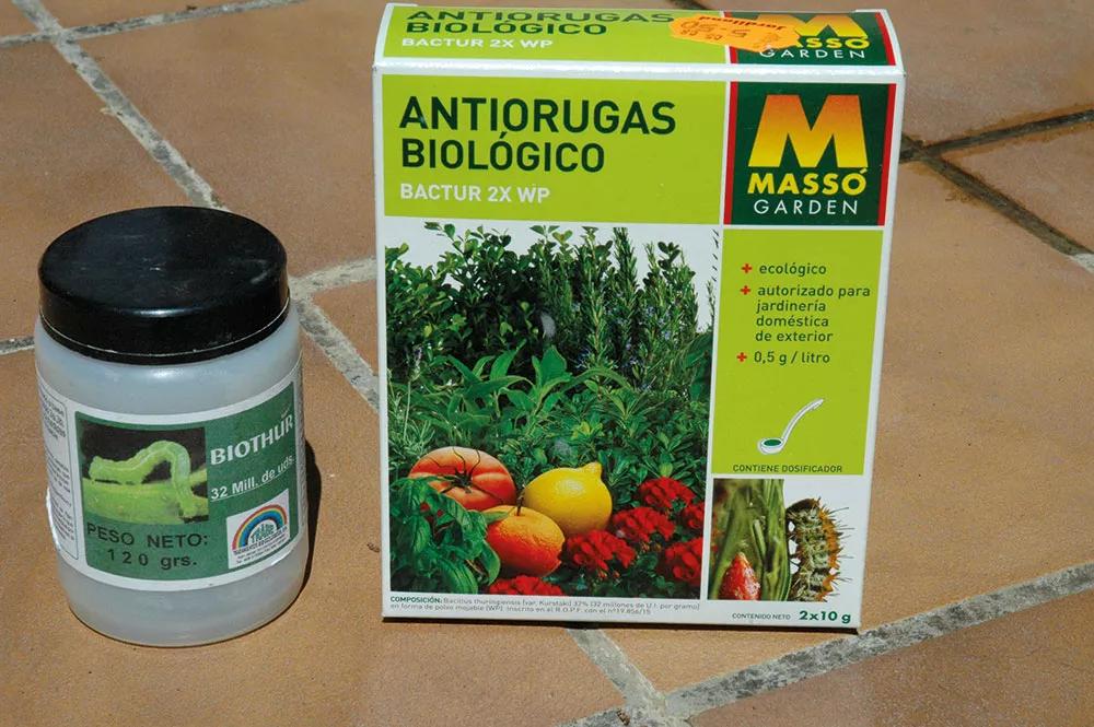 La efectividad del Bacillus thuringiensis contra las orugas es fantástica siempre que se aplique periódicamente desde que las plantas son jóvenes.