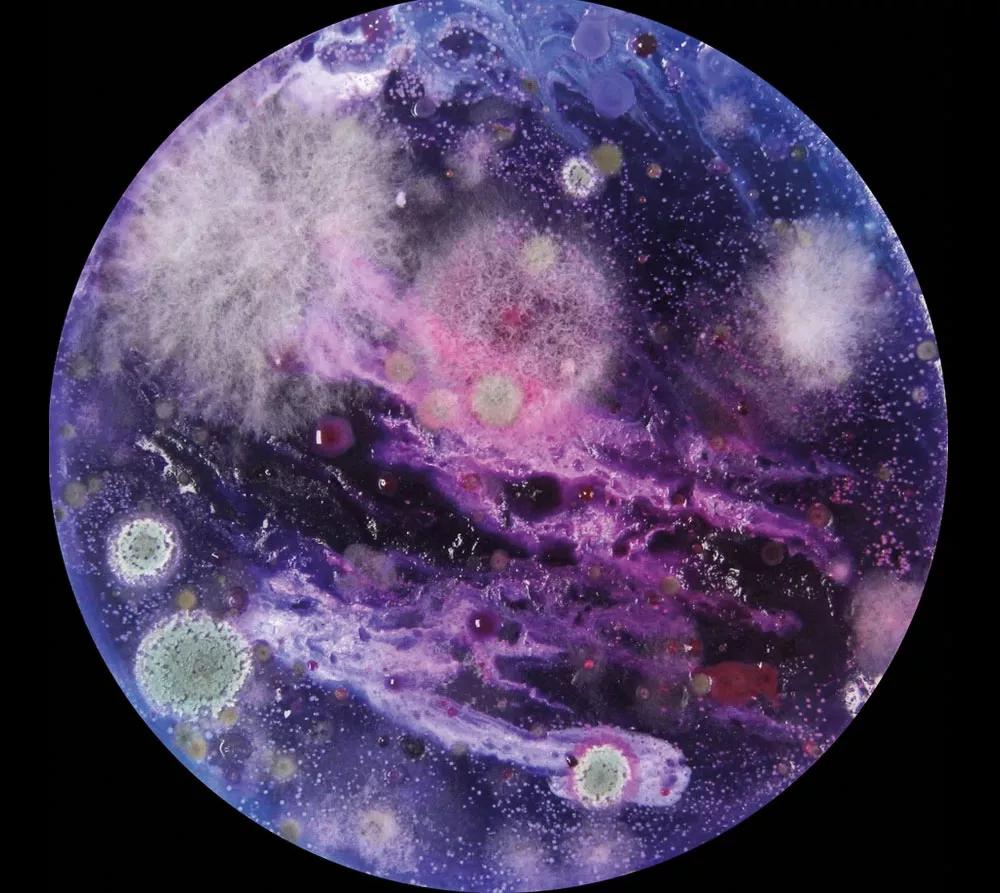 Hamilton Mestizo reproduce con Microuniversos una analogía sobre la existencia del cosmos desde lo más pequeño, las bacterias y hongos, para representar las dimensiones infinitas del universo.