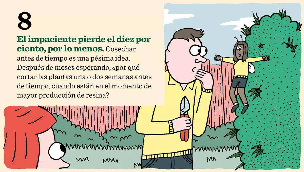 Diez errores clásicos: lo que no hay que hacer