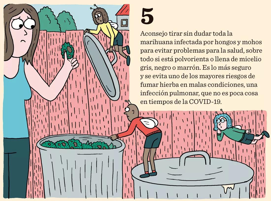 Ocho trucos para secar y curar los cogollos como los profesionales