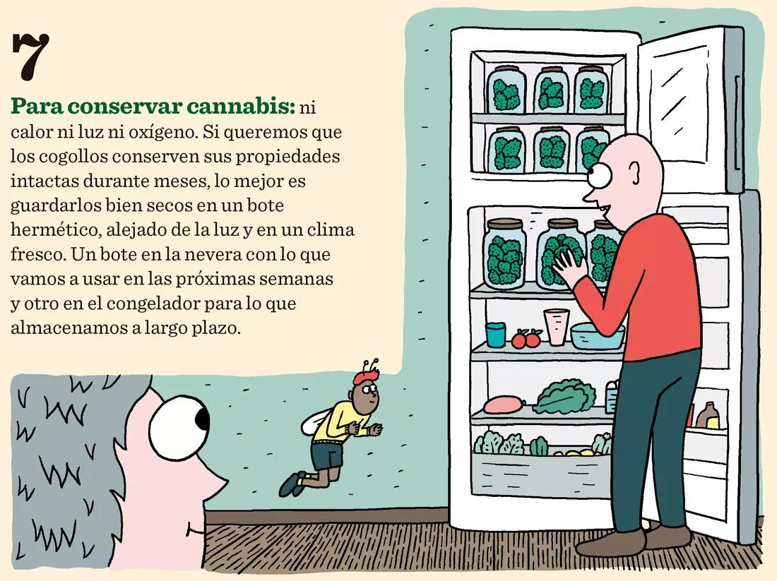 Ocho trucos para secar y curar los cogollos como los profesionales
