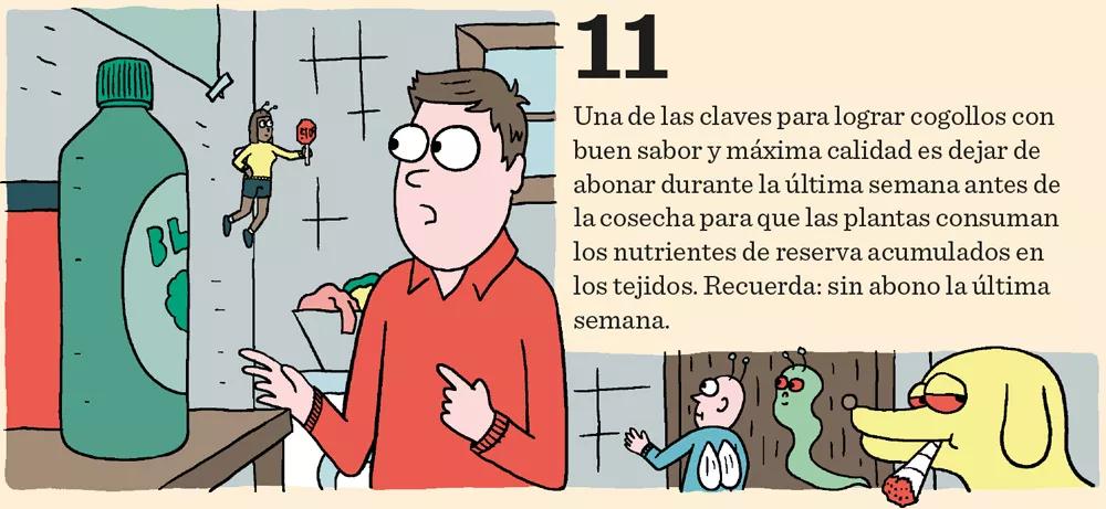 Aprende a cultivar ‘indoor’: doce pasos esenciales entre la germinación y la cosecha