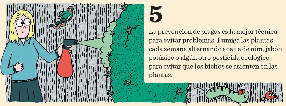 Aprende a cultivar ‘indoor’: doce pasos esenciales entre la germinación y la cosecha