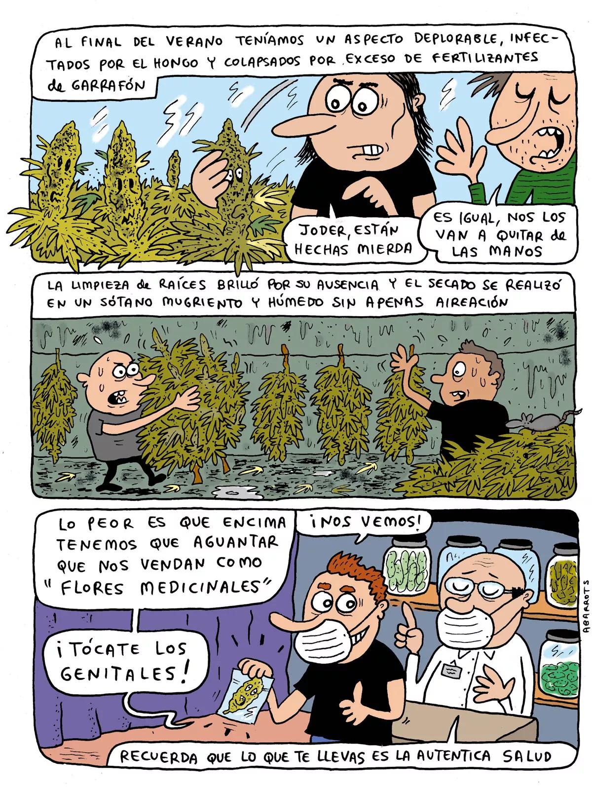 Cultivos insalubres