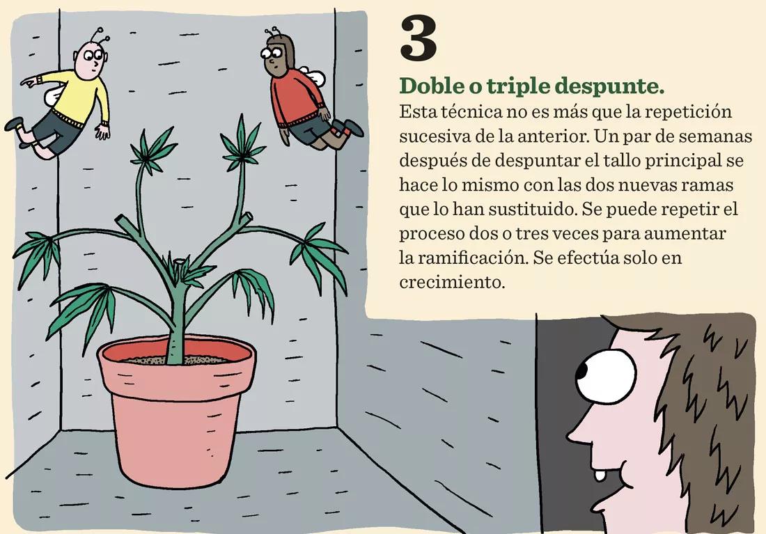 Siete técnicas para podar las plantas en interior