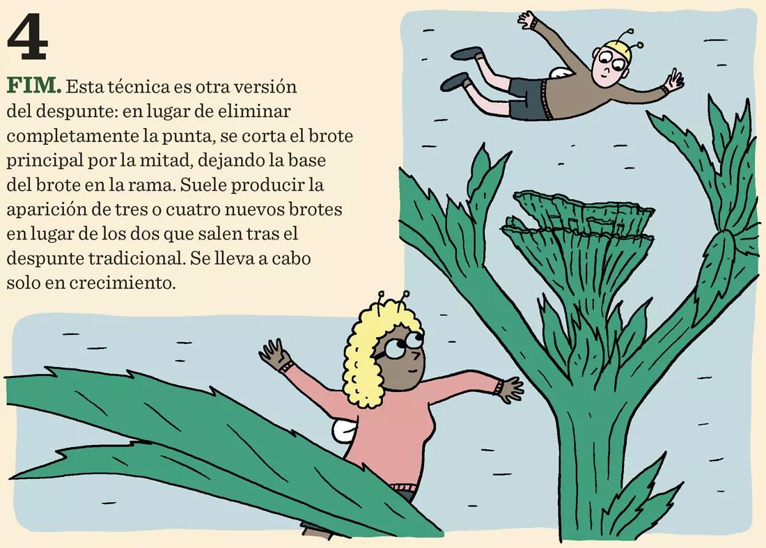 Siete técnicas para podar las plantas en interior