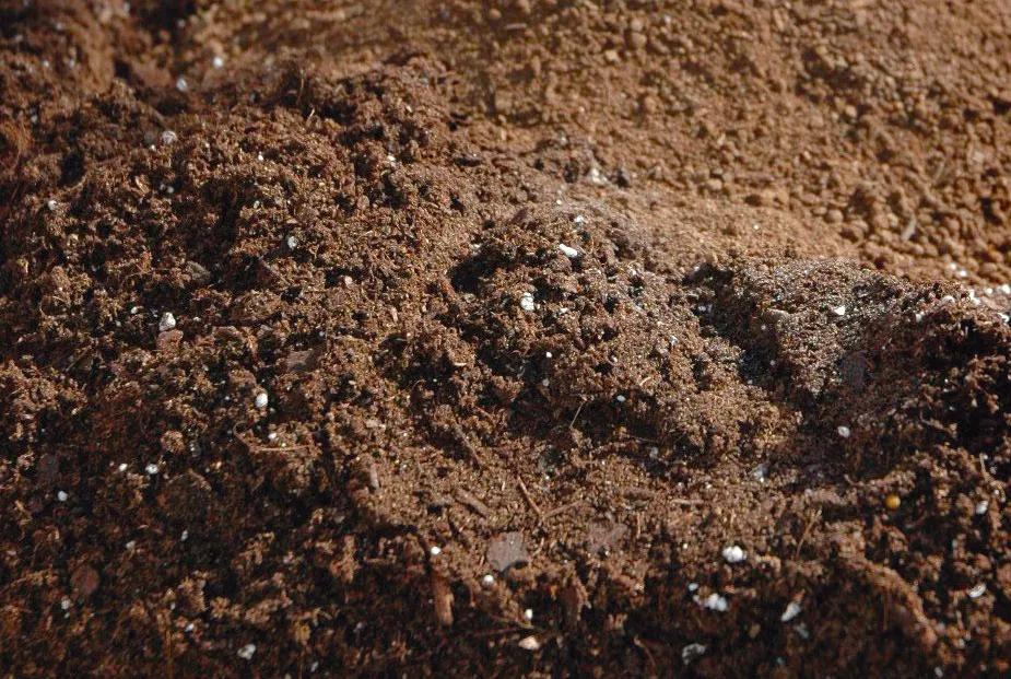 Turba, el ingrediente principal de la mayoría de sustratos.