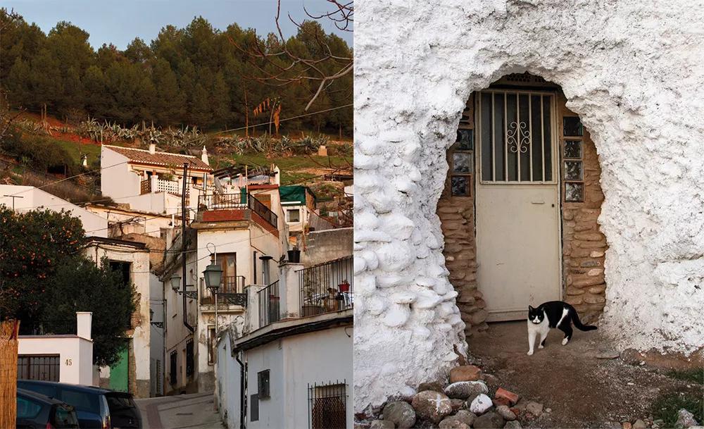 Algunas casas del Barranco del Abogado antes de las cuevas y una de las entradas a una casa cueva, con el gato Tifón custodiándola.