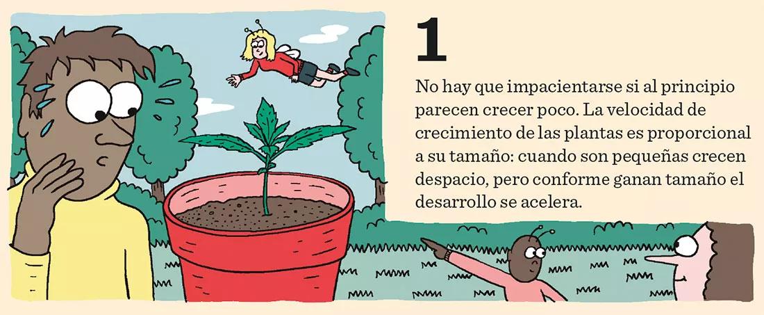 Los meses de crecimiento: diez claves importantes
