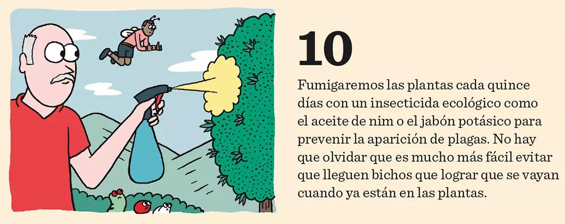 Los meses de crecimiento: diez claves importantes