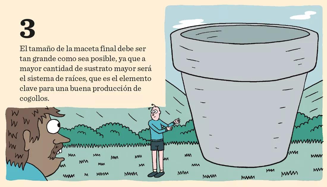 Los meses de crecimiento: diez claves importantes