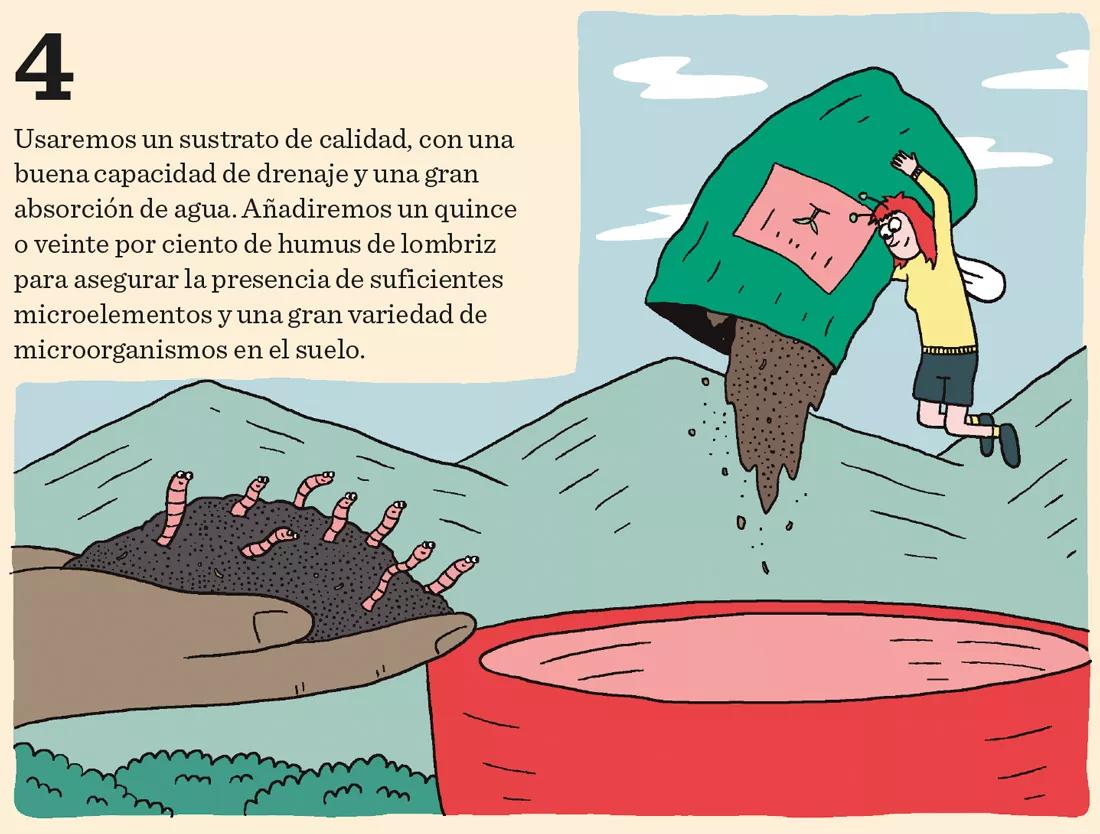 Los meses de crecimiento: diez claves importantes