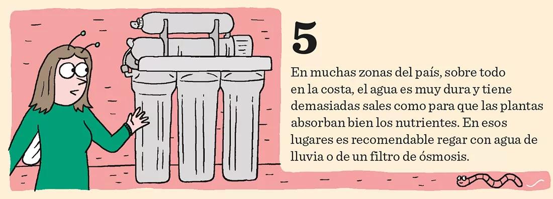 Los meses de crecimiento: diez claves importantes