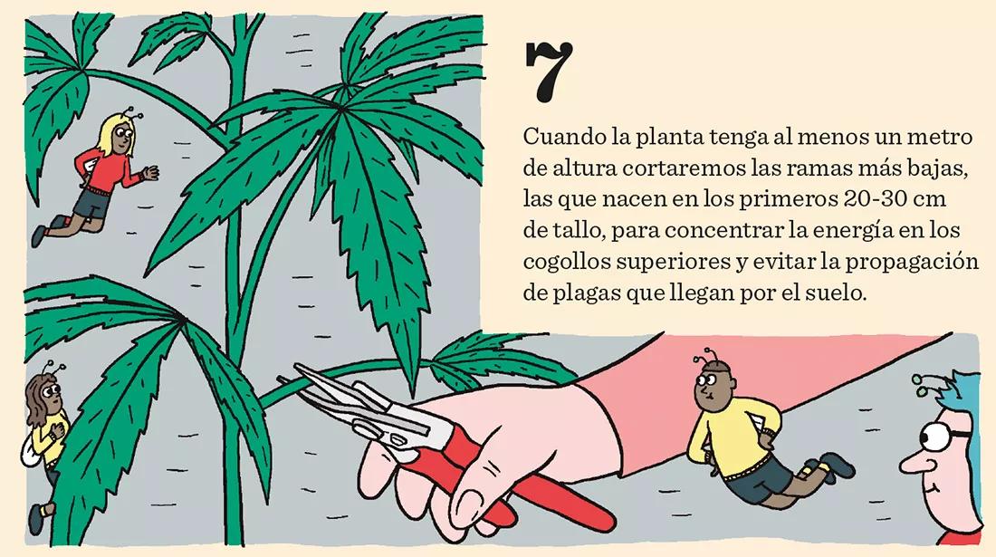 Los meses de crecimiento: diez claves importantes
