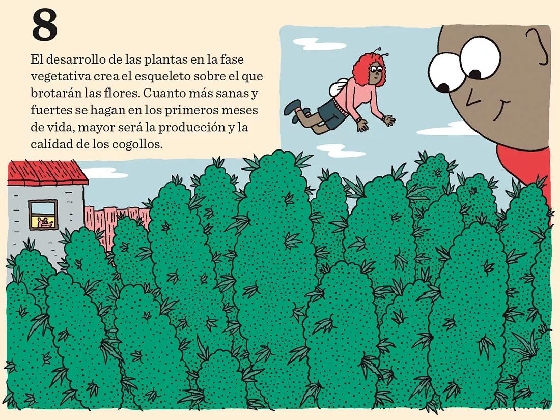 Los meses de crecimiento: diez claves importantes