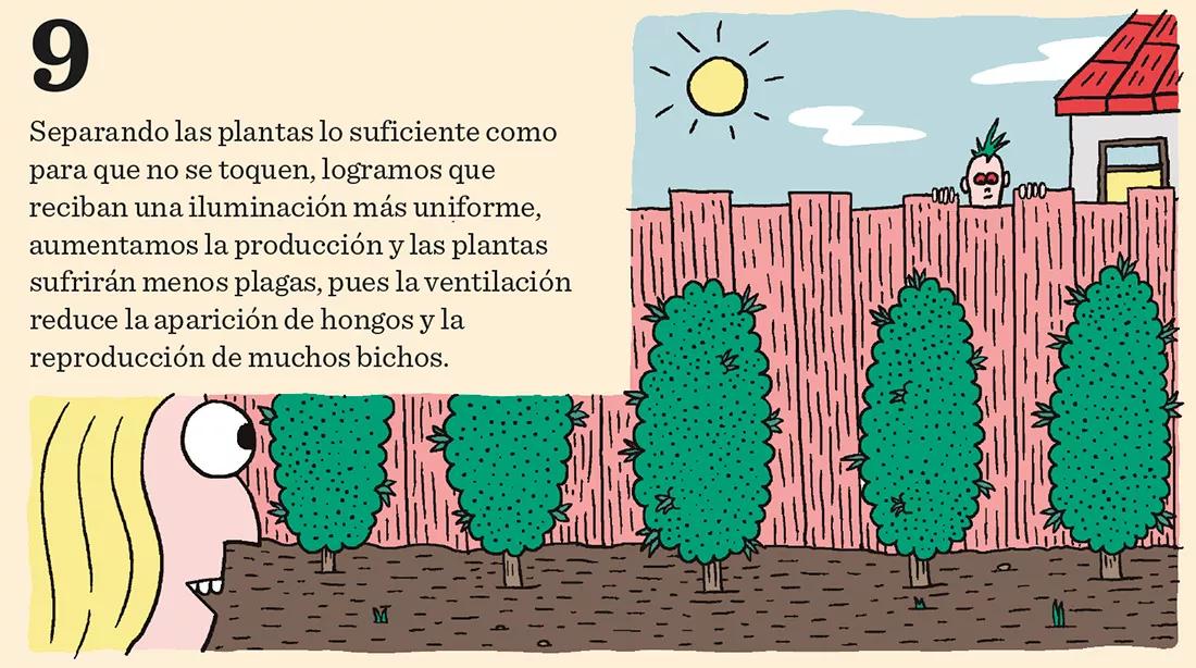 Los meses de crecimiento: diez claves importantes