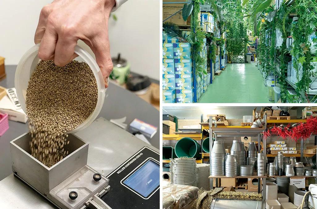 La revolución del cannabis vista desde un grow