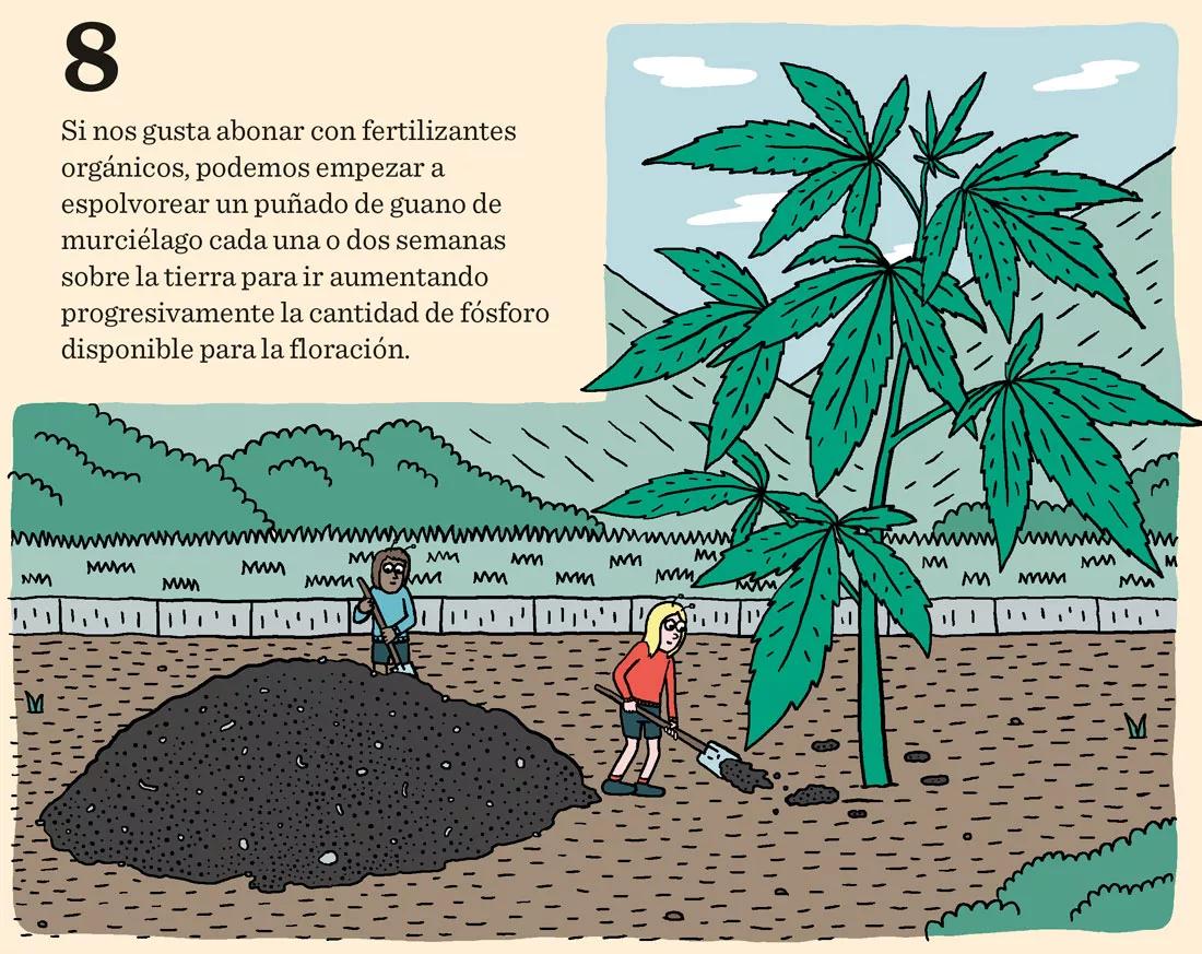 Diez trucos para junio: cómo preparar las plantas para una buena floración