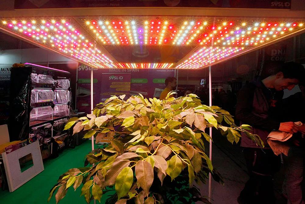 Expogrow vuelve en septiembre con músicos internacionales y todas las novedades del cannabis