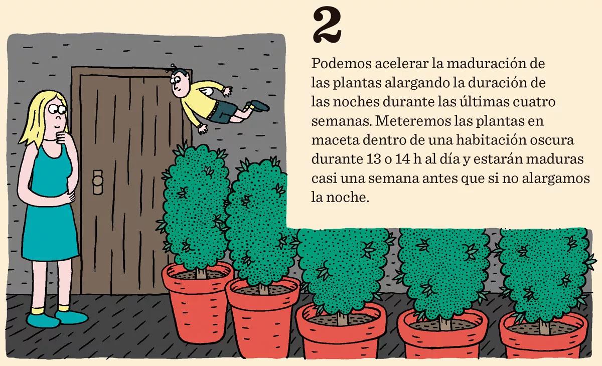 Ocho consejos para preparar la cosecha