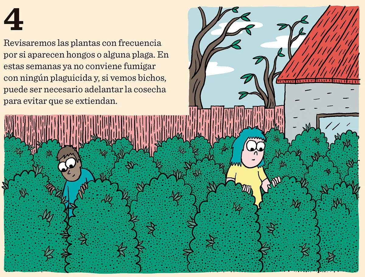 Ocho consejos para preparar la cosecha