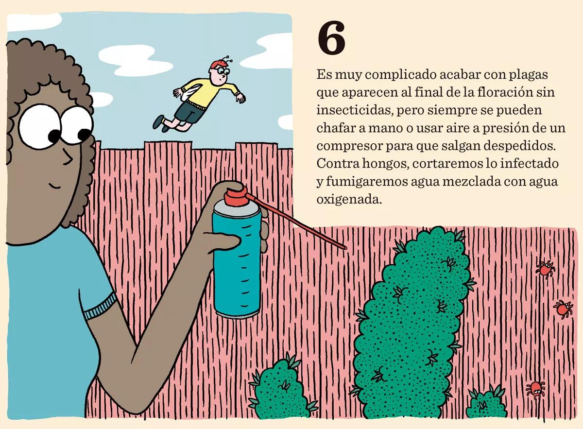 Ocho consejos para preparar la cosecha