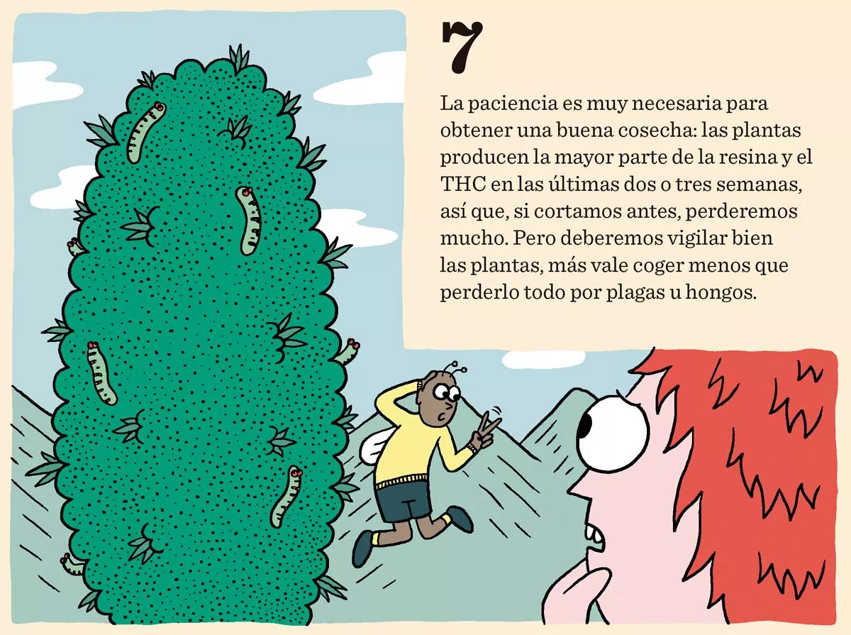 Ocho consejos para preparar la cosecha