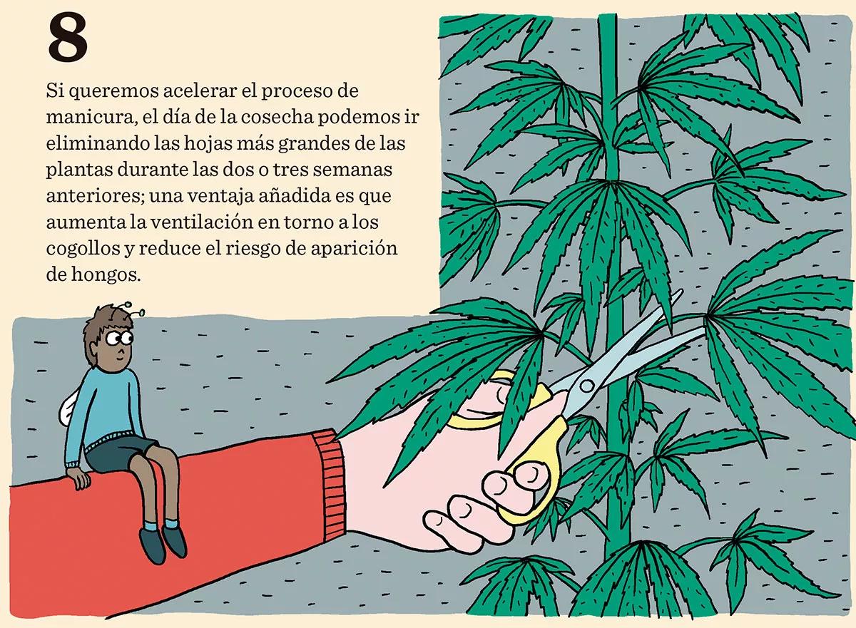 Ocho consejos para preparar la cosecha