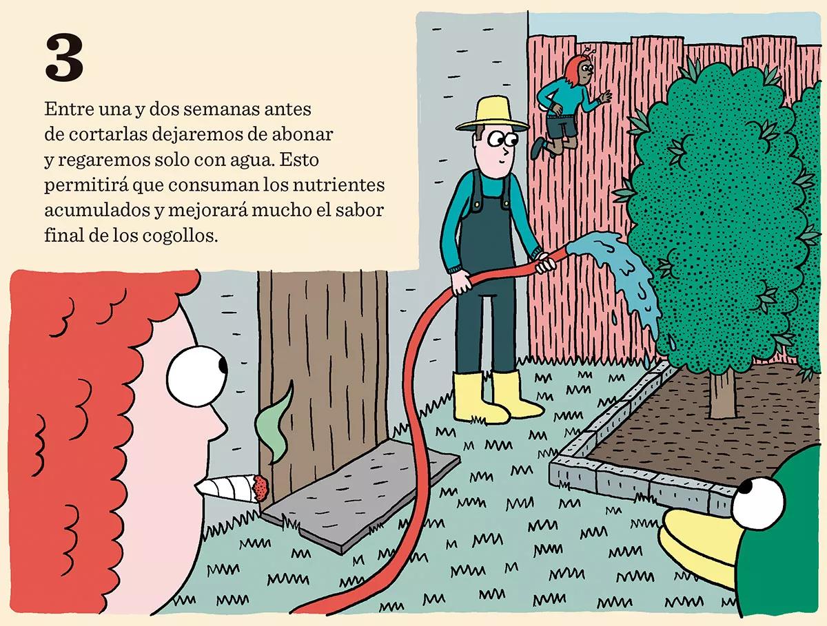 Ocho consejos para preparar la cosecha