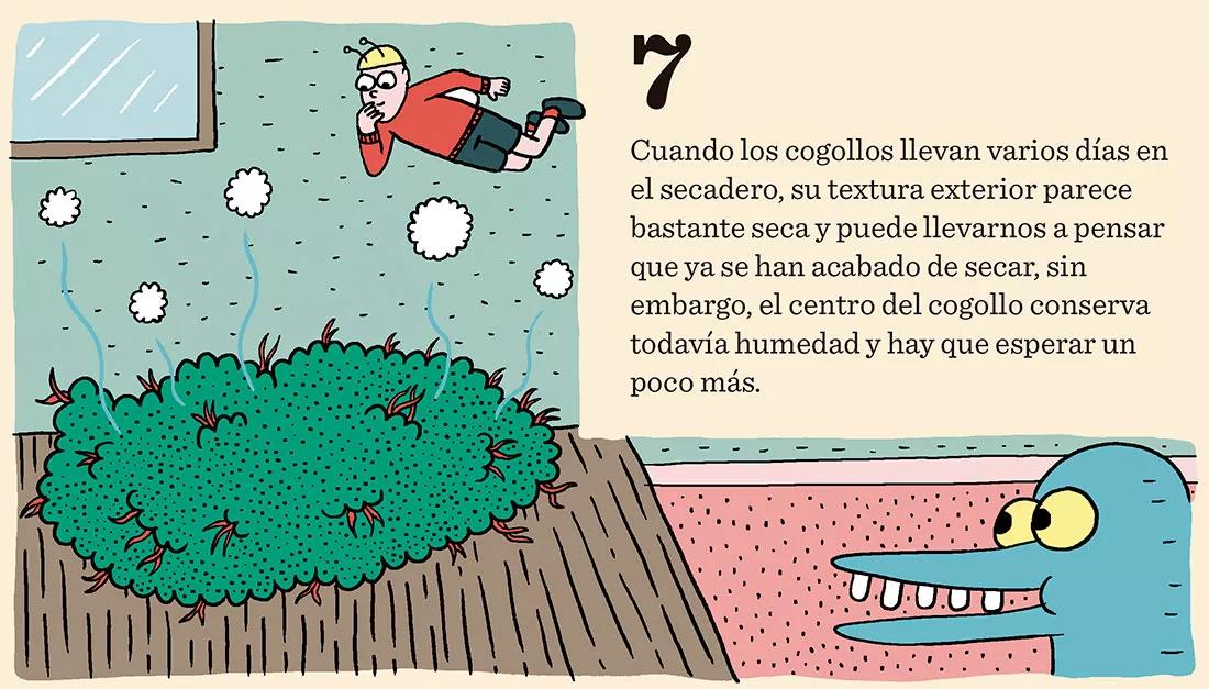 Diez trucos para el secado perfecto